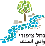 קהילות מקצועיות לומדות